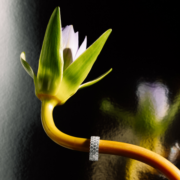 Elvania - Ring in 18K White Gold | Lab-Grown Diamond