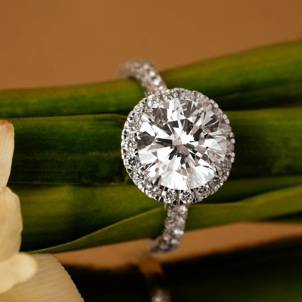 Celirra ring in 18K white gold, round brilliant lab-grown diamond (view 2) — Apekani Diamonds
