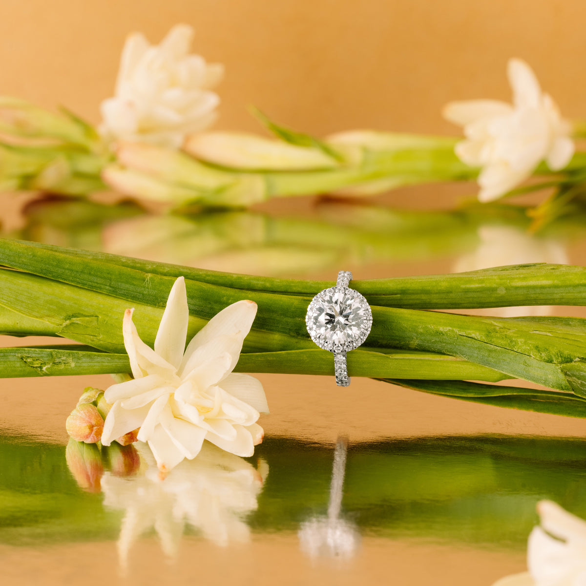 Celirra ring in 18K white gold, round brilliant lab-grown diamond (view 3) — Apekani Diamonds