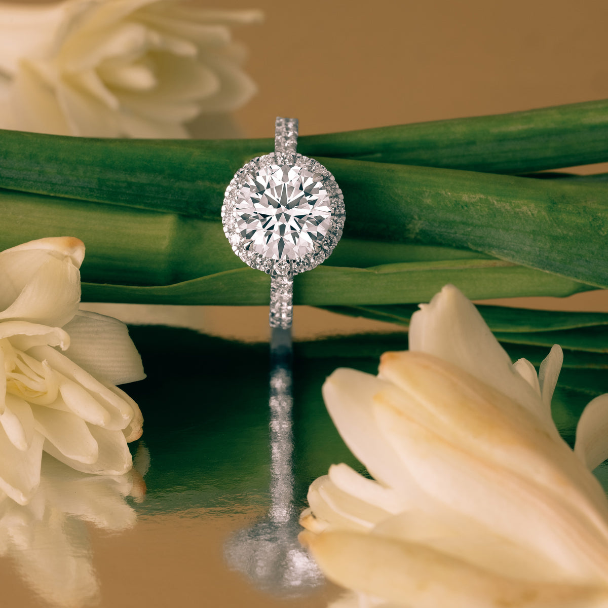 Celirra ring in 18K white gold, round brilliant lab-grown diamond (view 4) — Apekani Diamonds